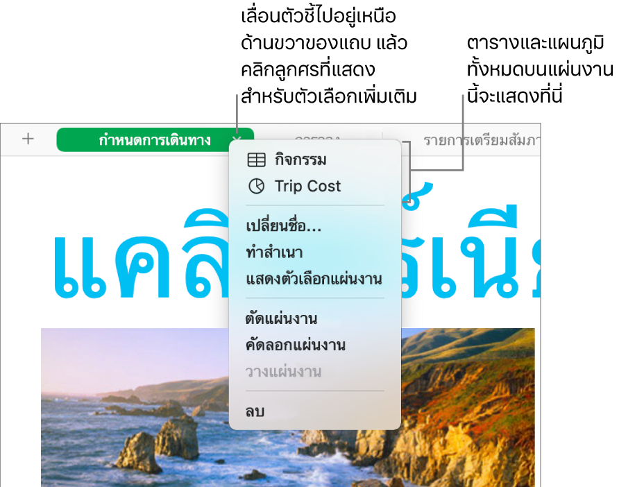 แถบสเปรดชีตที่มีเมนูลัดเปิดอยู่ โดยแสดงตัวเลือกซึ่งรวมถึง ทำสำเนา