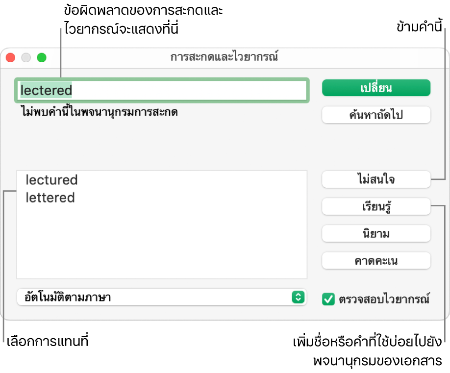 หน้าต่างการสะกดและไวยากรณ์