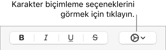 Kalın, İtalik, Altı Çizgili ve Üstü Çizgili düğmelerinin yanındaki İleri Düzey Seçenekler düğmesi.