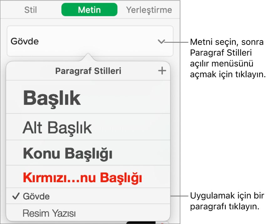 Seçili stilin yanında onay işaretli Paragraf Stilleri menüsü.