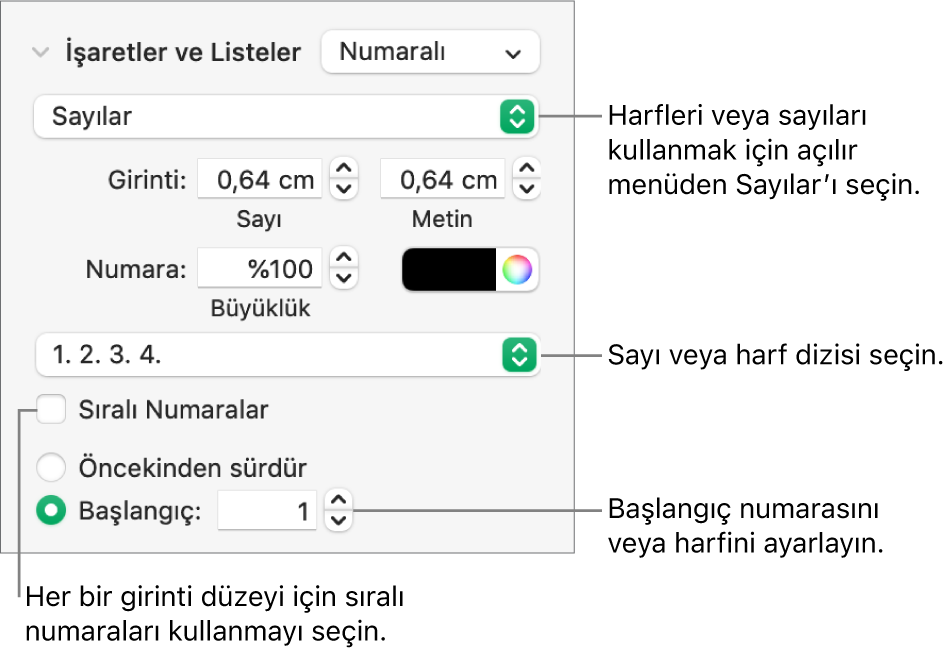 Numara stilini ve bir lise boşluğunu değiştirme denetimleri.