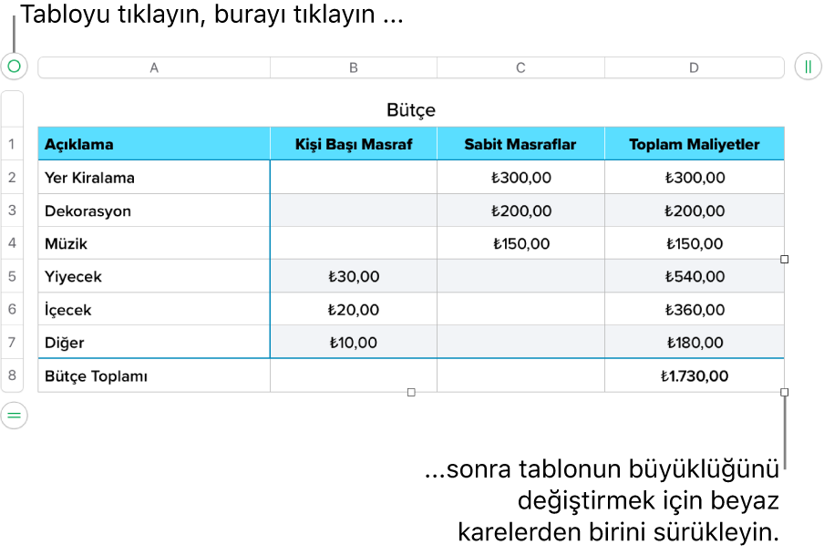 Yeniden boyutlandırma için beyaz kareleri bulunan seçili bir tablo.