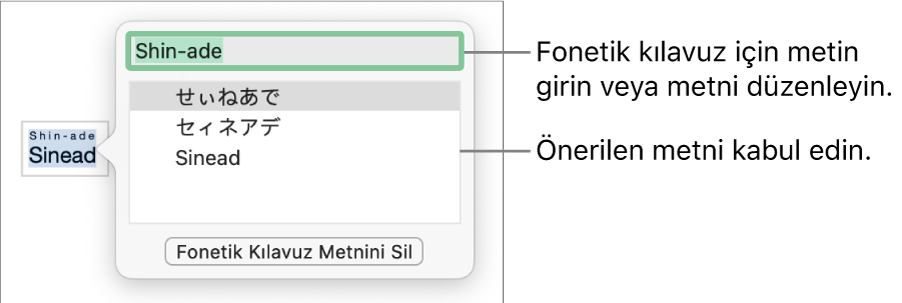 Bir sözcük için fonetik kılavuz, metin alanına ve önerilen metne ilişkin gösterimlere açılır.