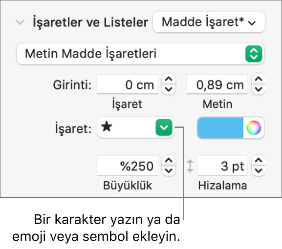 Biçim kenar çubuğunun Madde İşaretleri ve Listeler bölümü. Madde İşareti alanı bir yıldız emojisi gösterir.