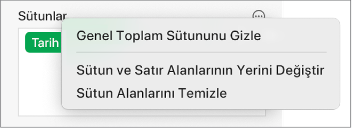 Genel toplamları gizleme, sütun ve satır alanlarını yer değiştirme ve alanları temizleme denetimlerini gösteren Daha Fazla Alan Seçeneği menüsü.