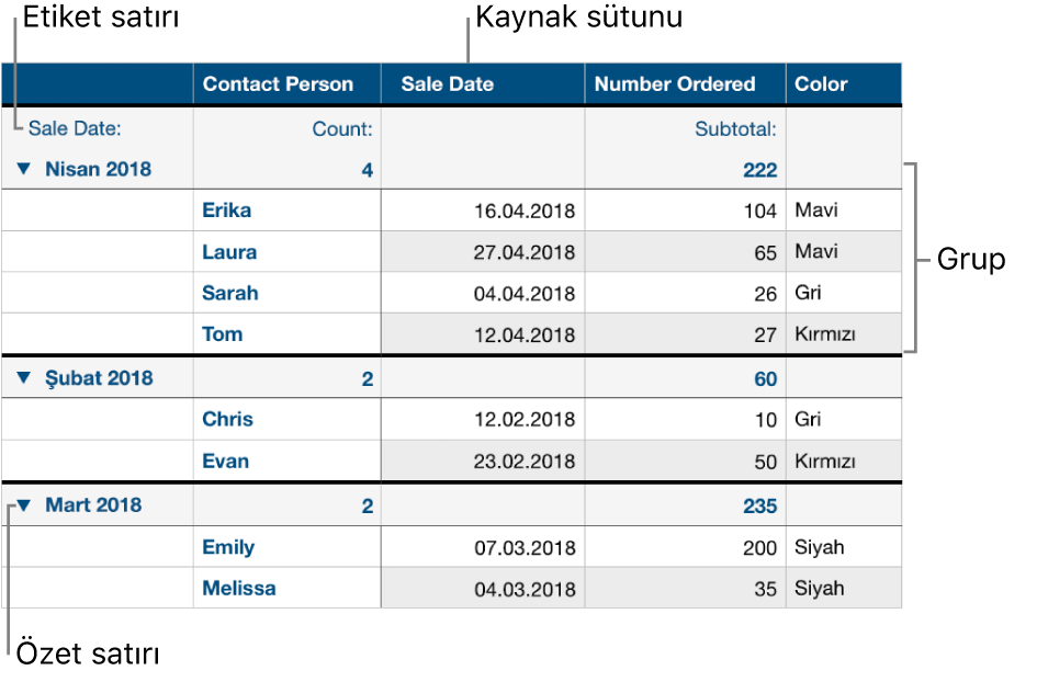 Kaynak sütunu, grupları, özet satırını ve etiket satırını gösteren, kategoriye ayrılmış bir tablo.