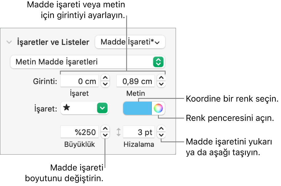 Madde işareti ve metin girintisi, madde işareti rengi, madde işareti büyüklüğü ve hizalaması için denetim belirtimlerini içeren İşaretler ve Listeler bölümü.