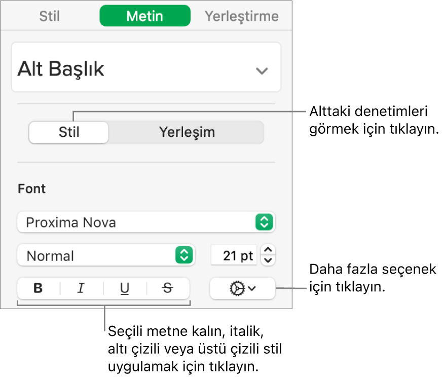 Kenar çubuğundaki Kalın, İtalik, Altı Çizili ve Üstü Çizili düğme belirtimlerini içeren Stil denetimleri.