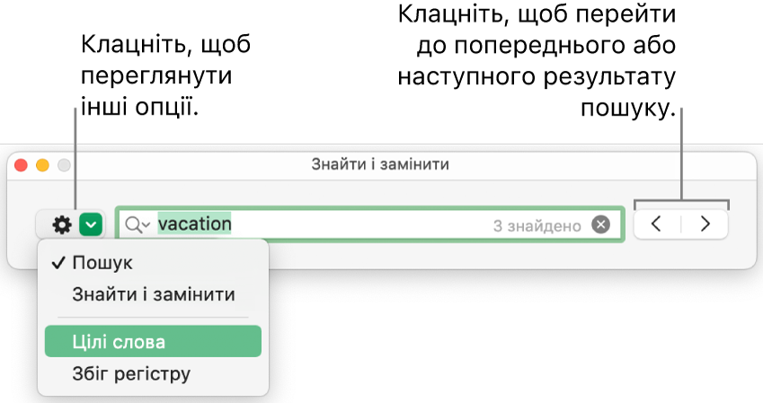Вікно «Пошук і заміна» зі спливним меню опцій «Пошук», «Пошук і заміна», «Цілі слова» та «Збіг регістру». Стрілки праворуч дають змогу перейти до попереднього або наступного результату пошуку.