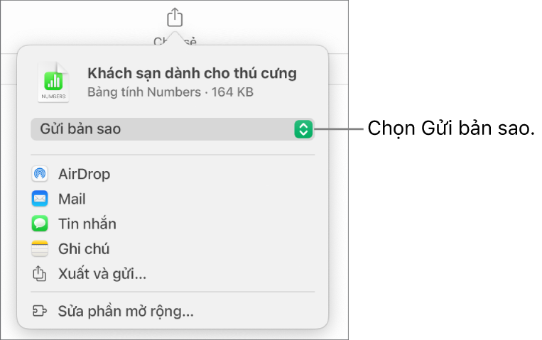 Menu Chia sẻ với Gửi bản sao được chọn ở trên cùng.