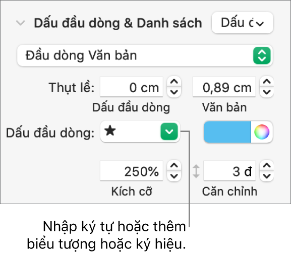 Phần Dấu đầu dòng & Danh sách của thanh bên Định dạng. Trường Đầu dòng hiển thị một biểu tượng ngôi sao.