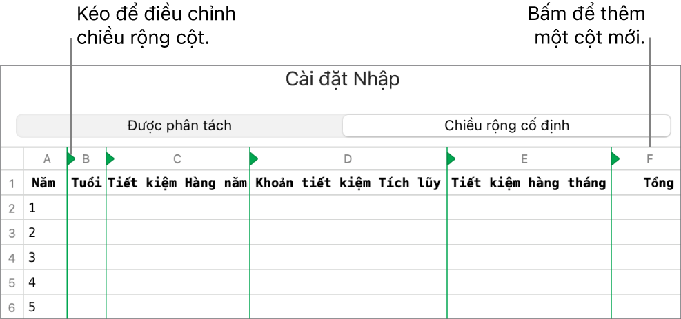 Cài đặt nhập cho tệp văn bản chiều rộng cố định.