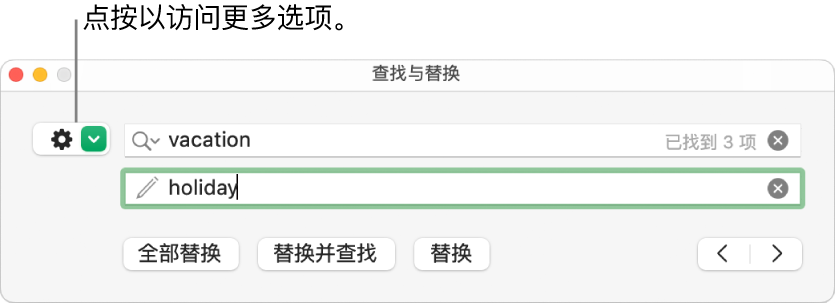 显示更多选项“查找与替换”窗口，按钮带有标注框。