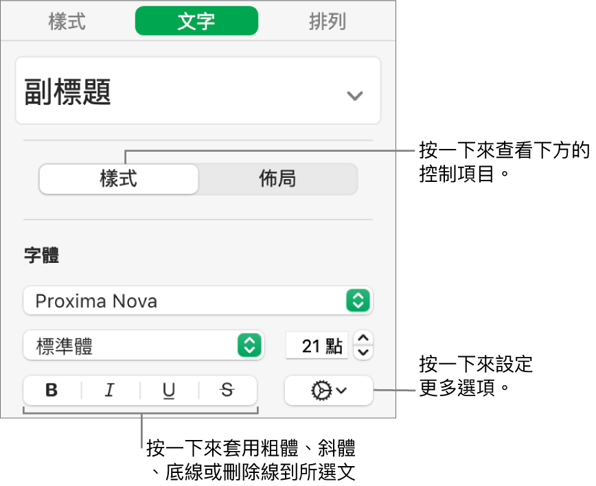 側邊欄中帶有説明文字（如「粗體」、「斜體」、「底線」和「刪除線」按鈕）的「樣式」控制項目。