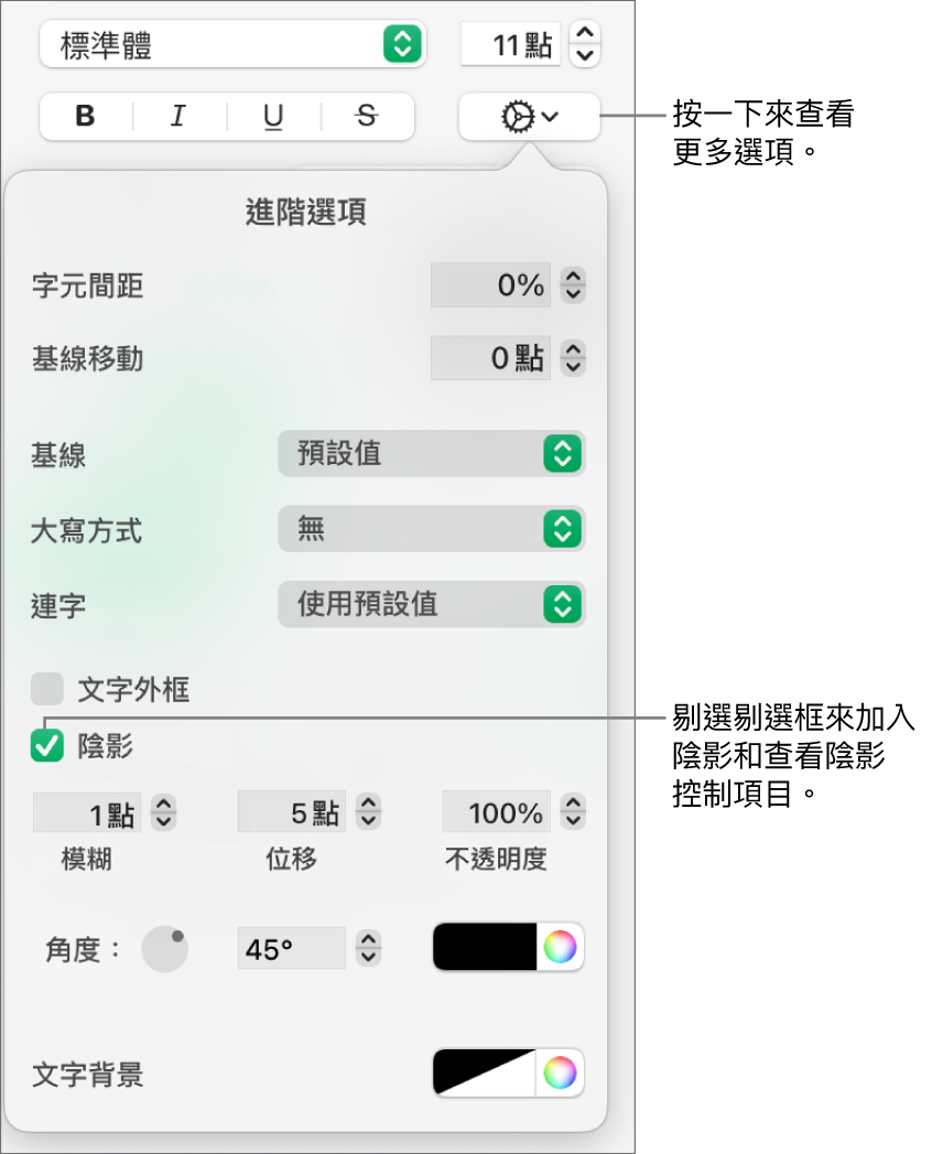 「更多文字選項」選單開啟，其中包括已剔選的「陰影」剔選框，以及設定模糊、位移、不透明度、角度和顏色的控制項目。