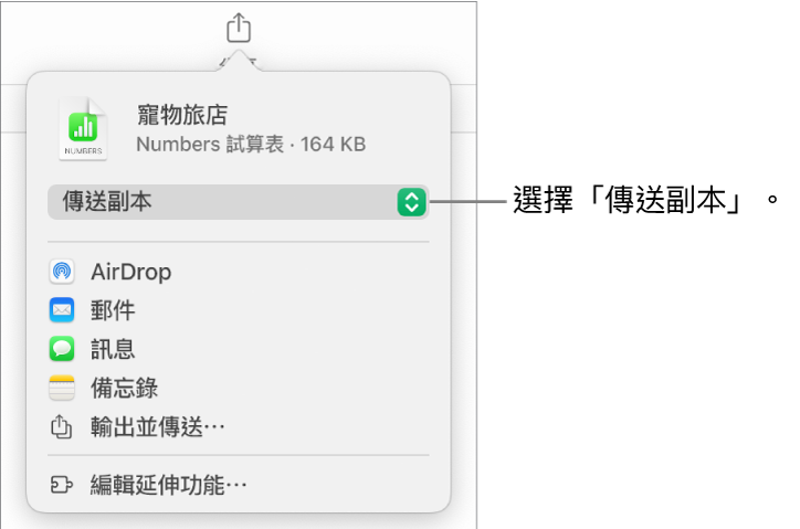 「分享」選單的最上方已選取「傳送副本」。