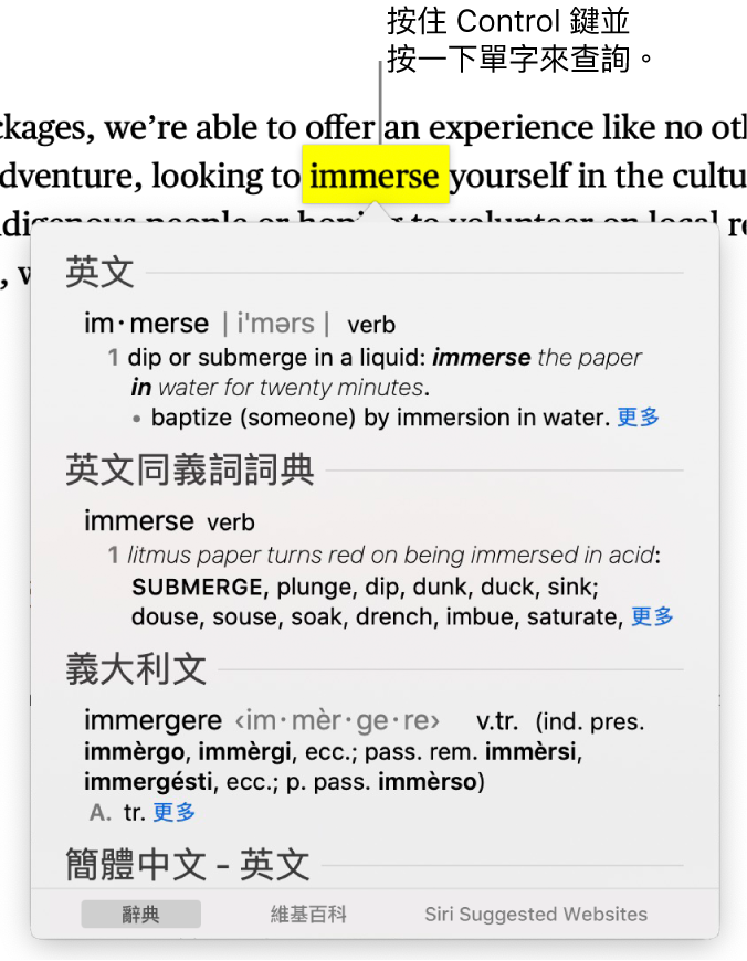 含有反白單字的文字和視窗會顯示其定義和同義詞詞條。視窗底部的三個按鈕提供了字典、維基百科和 Siri 建議網站的連結。