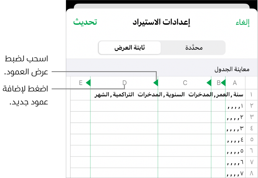 إعدادات الاستيراد لملف نصي ثابت العرض.