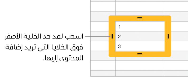 خلية محددة تحتوي على حد أصفر كبير يمكنك سحبه لتعبئة الخلايا تلقائيًا.