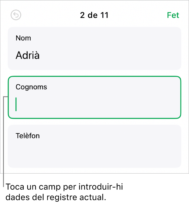 Un registre d’un formulari en què es mostra un camp actiu amb un punt d’inserció.