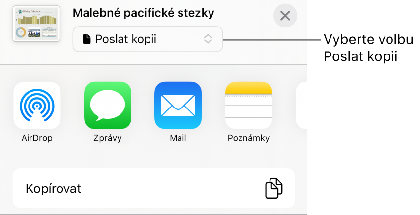 Nabídka sdílení, v níž je nahoře vybraná volba Poslat kopii