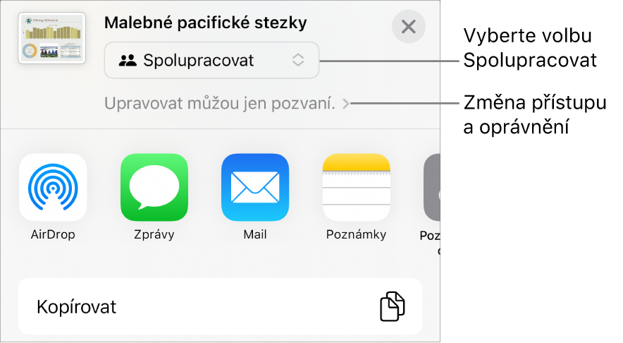Nabídka sdílení, v níž je nahoře vidět vybraná volba Spolupracovat a pod ní volby pro nastavení přístupu a oprávnění