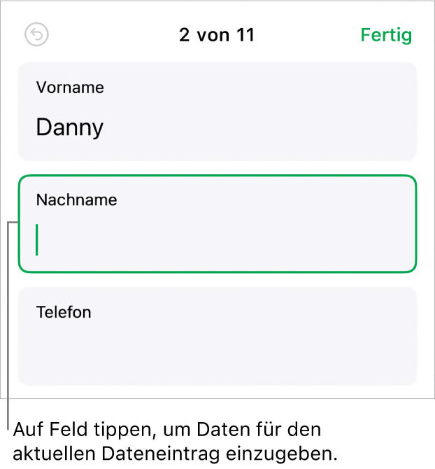 Ein Datensatz in einem Formular mit einem aktiven Feld und einer Einfügemarke.