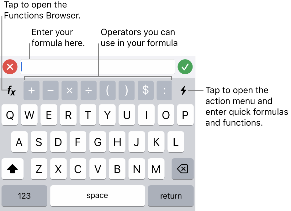 The formula keyboard, with the Formula Editor at the top and the operators used in formulas below it. The Functions button for opening the Functions Browser is to the left of the operators, and the Action menu button is to the right.