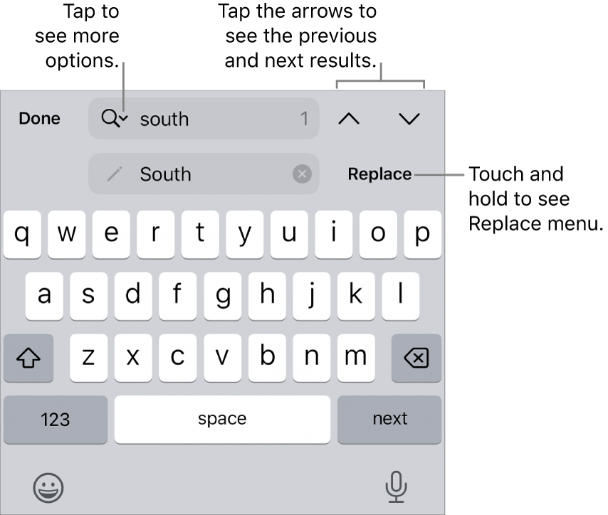 The Find & Replace controls above the keyboard with callouts to the Search Options, Replace, Go Up and Go Down buttons.