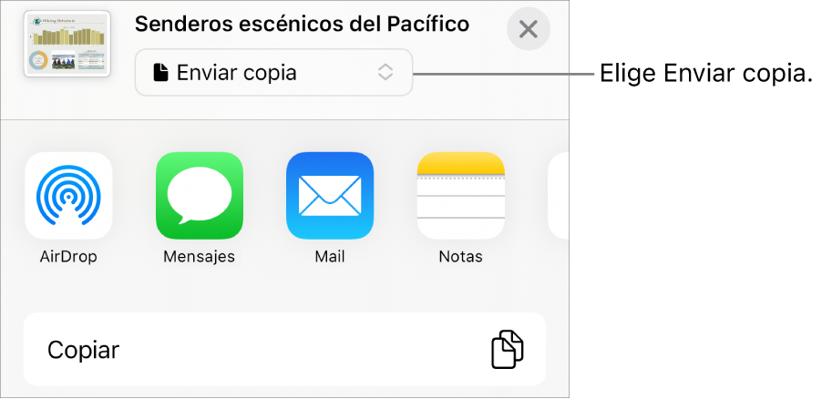 El menú Compartir con la opción Enviar copia seleccionada en la parte superior.