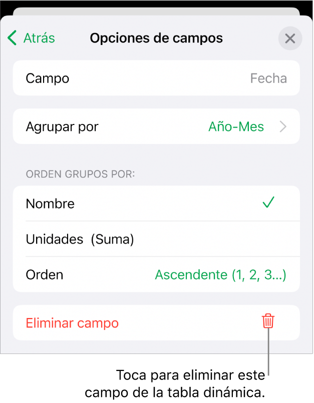 El menú Opciones de campos, mostrando los controles para agrupar y clasificar los datos, así como la opción para eliminar un campo.