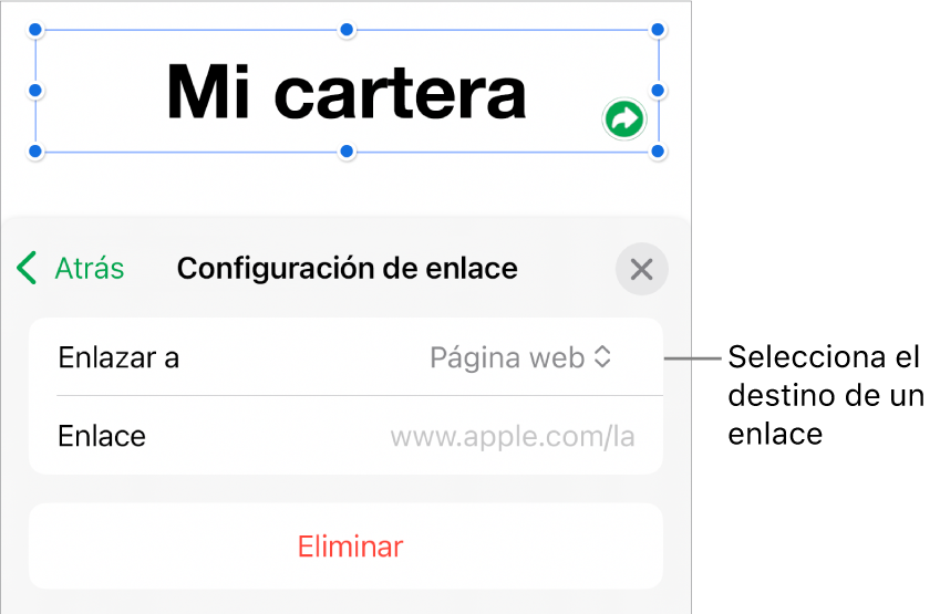 Los controles de Configuración de enlace con la opción Página web seleccionada, y el botón Eliminar en la parte de abajo.