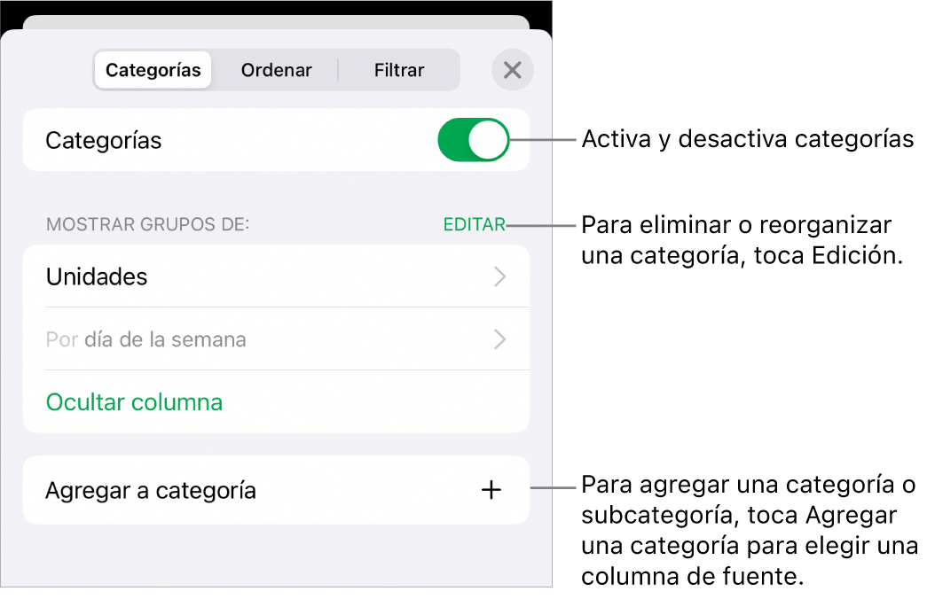 El menú Categorías del iPhone con opciones para desactivar las categorías, eliminar categorías, reagrupar datos, ocultar una columna origen y agregar categorías.