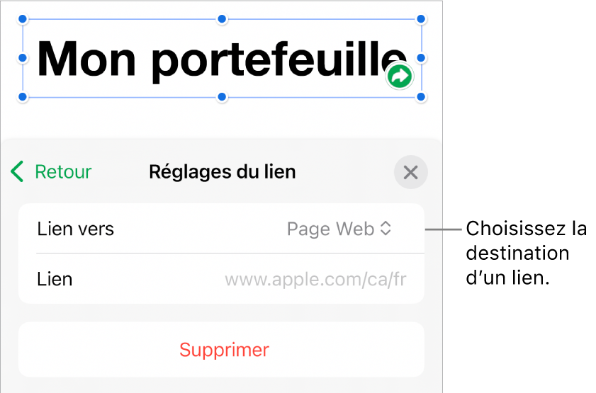 Les commandes Réglages du lien avec l’option Page Web sélectionnée au-dessus du bouton Supprimer.