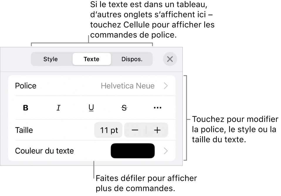 Commandes de texte du menu de format permettant de définir les styles, la police, la taille et la couleur des paragraphes et des caractères.