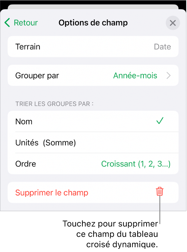 Menu Options de champ avec commandes de regroupement et de tri des données, ainsi que l’option de suppression de champ.