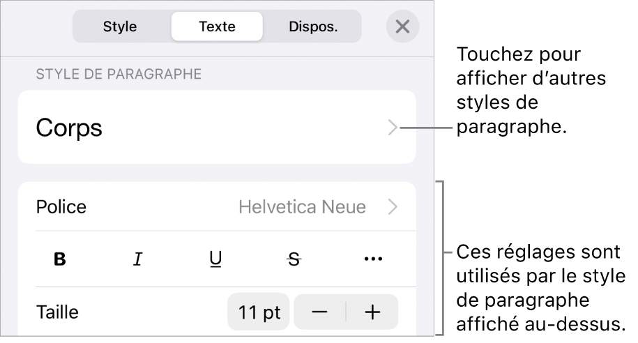 Menu Format avec commandes de texte permettant de définir les styles, la police, la taille et la couleur des paragraphes et des caractères.