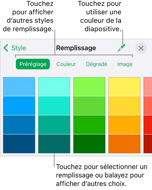 Options de remplissage de l’onglet Style du bouton Format.