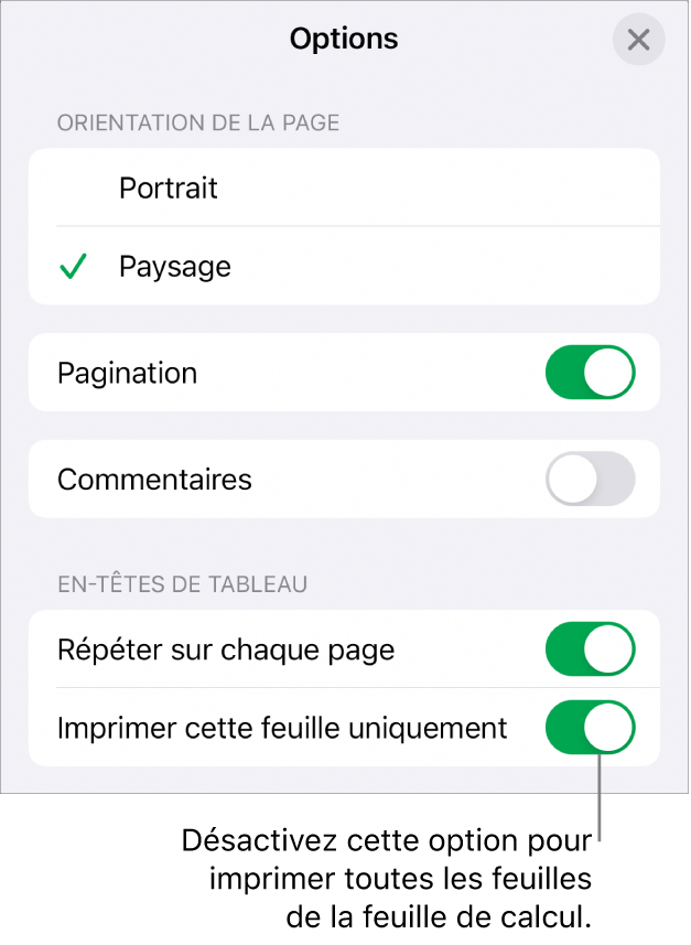 Options d’impression permettant de choisir l’orientation de la page, d’afficher les numéros de page et les en-têtes, et de choisir le format du papier et les pages à imprimer.