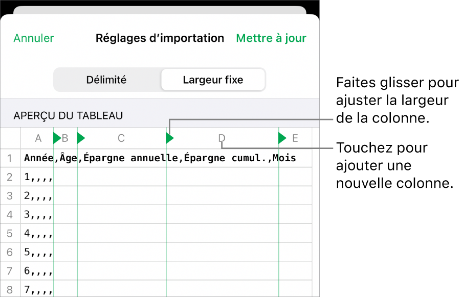 Les réglages d’importation d’un fichier texte à largeur fixe.