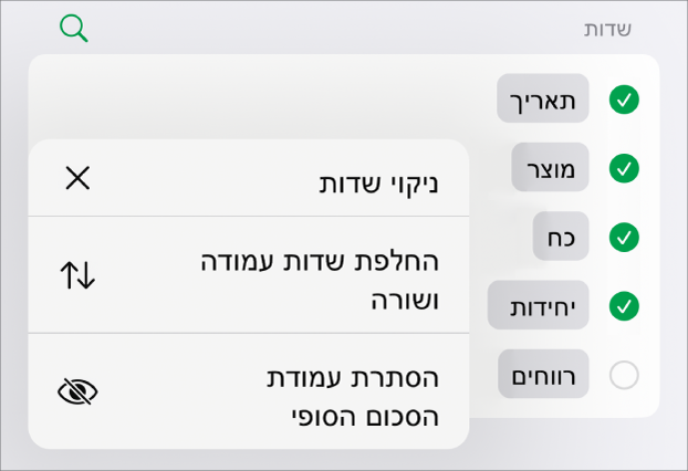 התפריט ״אפשרויות שדה נוספות״ שבו מוצגים הפקדים להסתרת הסכומים הסופיים, החלפה בין שדות העמודה והשורה וניקוי שדות.