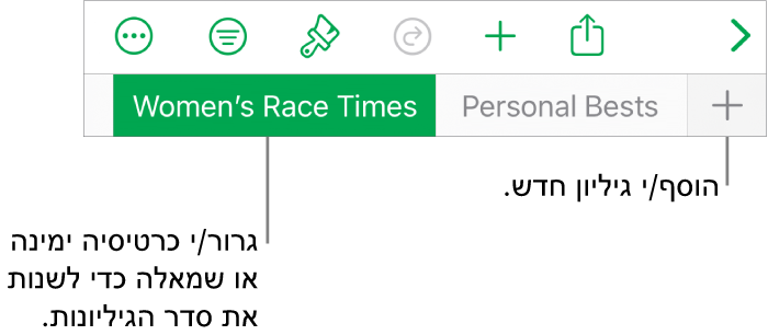 סרגל הלשוניות המאפשר הוספת גיליון חדש, ניווט, שינוי הסדר וארגון מחדש של הגיליונות.