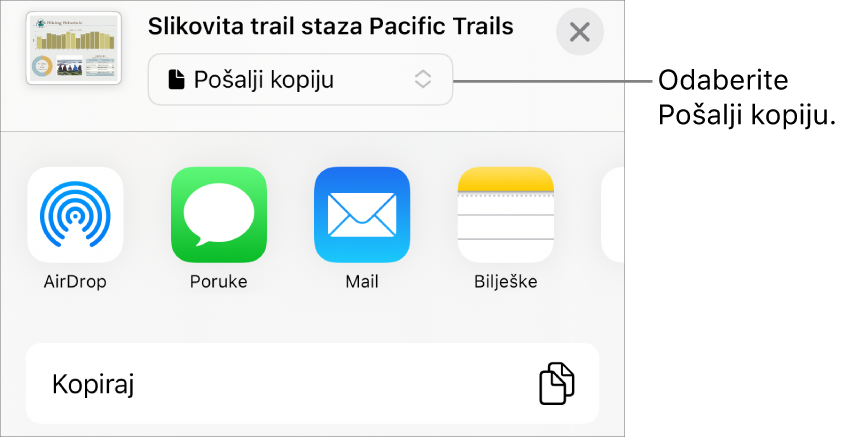 Izbornik dijeljenja s odabranom opcijom Pošalji kopiju pri vrhu.