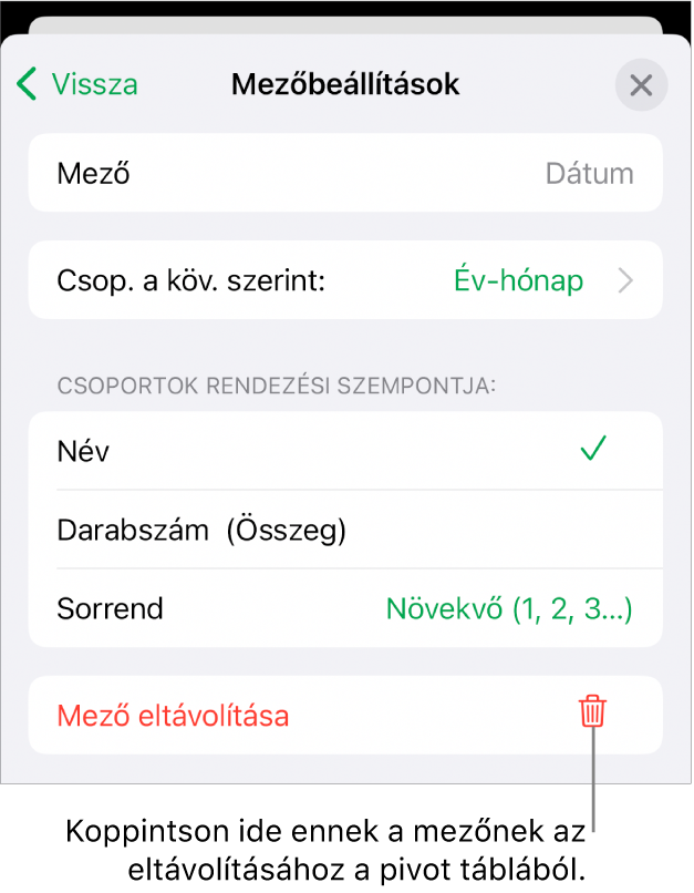 A Mezőbeállítások menü az adatok csoportosítására és rendezésére szolgáló vezérlőkkel, illetve a mező eltávolítására szolgáló lehetőséggel.