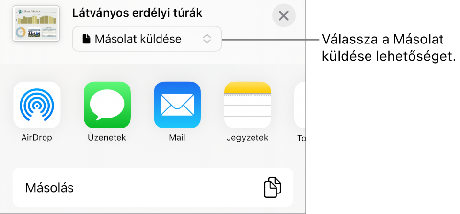 A Megosztás menü a felül elhelyezkedő Másolat küldése lehetőséggel.