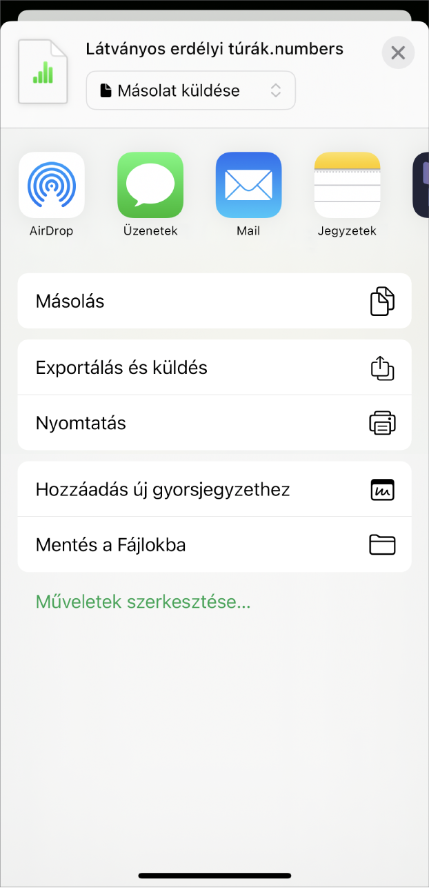 A Numbers ablaka a Megosztás menüvel, valamint a munkafüzet másolatának elküldésére, a fájl exportálására és más formátumban történő elküldésére, a mentésre és a munkafüzet Fájlok appba történő mentésére szolgáló opciókkal.