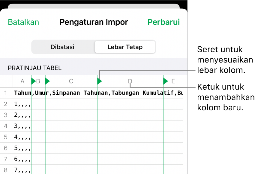 Pengaturan impor untuk file teks lebar tetap.