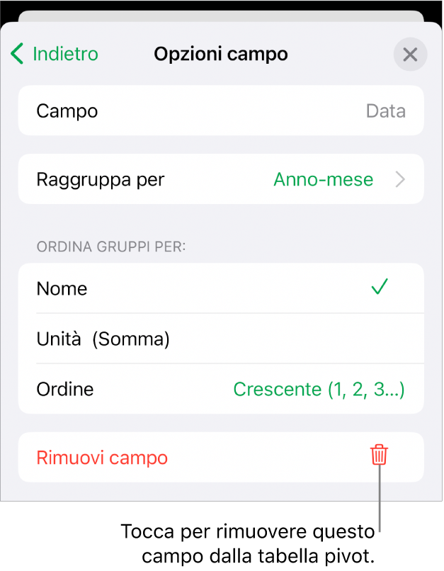 Il menu “Opzioni campo” che mostra i controlli per raggruppare e ordinare i dati, nonché le opzioni per rimuovere un campo.