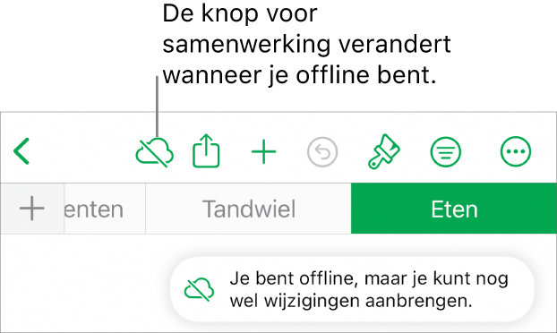 De knoppen boven in het scherm, met de knop voor samenwerking die is veranderd in een wolk met een schuine streep. De volgende melding staat op het scherm: 'Je bent offline, maar je kunt nog wel wijzigingen aanbrengen.'