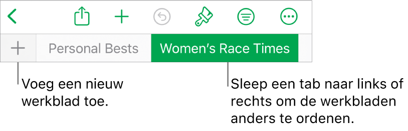 De tabbladbalk voor het toevoegen van een nieuw werkblad, navigeren en het opnieuw ordenen van werkbladen.